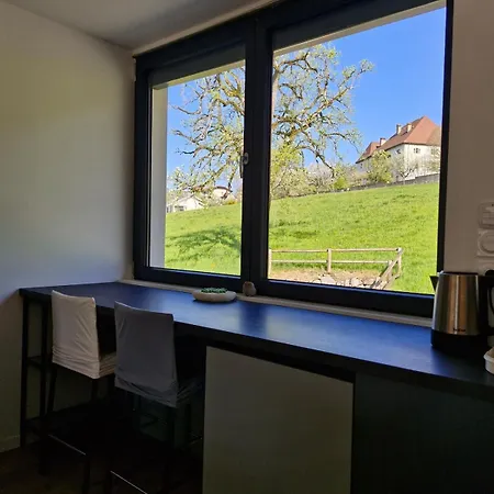Duplex, Private Terrace Apartman Thyez